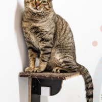 Photo of Mr Max