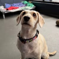 Photo of Wanda