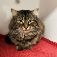 Photo of Monty Rsta012765