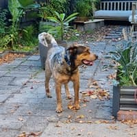 Photo of Richie Rich