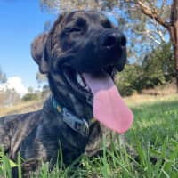 Photo of Whisky 🥃