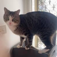 Photo of Mocha