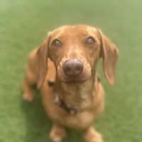 Photo of Tessa Young