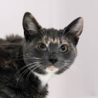 Photo of Lexi Sta014179