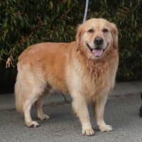 Photo of Carson