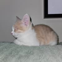 Photo of Mr Cheese