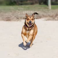 Photo of Milly Milly