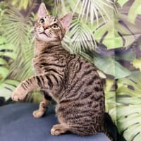 Photo of Lyle   Located In Preston 