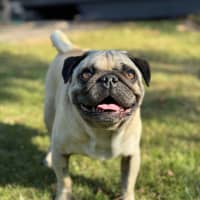 Photo of Casper 👻