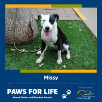 Photo of Missy