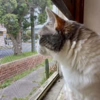 Photo of Miu Miu   Located In Reservoir 