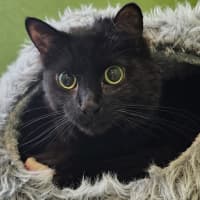 Photo of Zachary Binks