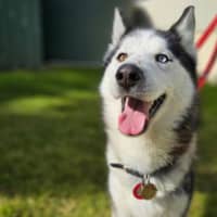 Photo of Max