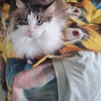 Photo of Zuzu