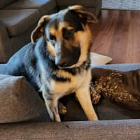 Photo of Zeus