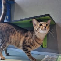 Photo of Mooncake