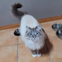 Photo of Zeus