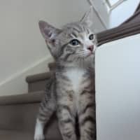 Photo of Isabella Scotty