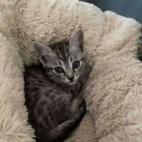 Photo of Ester