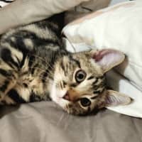 Photo of Mister Mason Munchy 