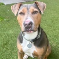 Photo of Daisy