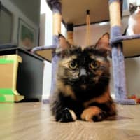 Photo of Hera