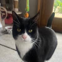 Photo of Thomas