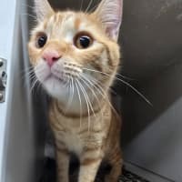 Photo of Grandpa George And Grandpa Joe