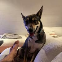 Photo of Max