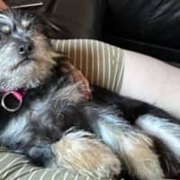 Photo of Jedda O'cleary