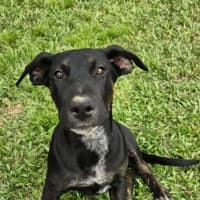 Photo of Dottie