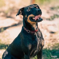 Photo of Lucy