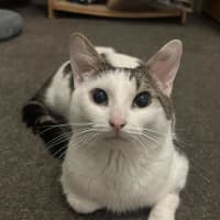 Photo of Smoosh