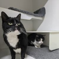 Photo of 🦜 Monte 5438 🦜