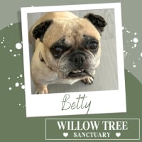 Photo of Betty