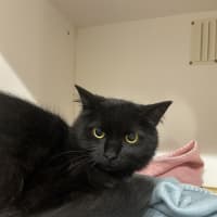Photo of Turbo