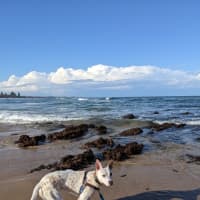 Photo of Luna
