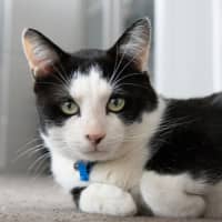 Photo of Billy