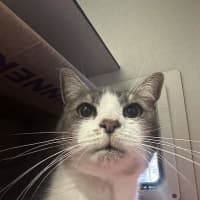 Photo of Astro