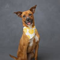 Photo of Athena