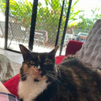 Photo of Willow And Jasper