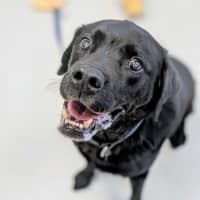 Photo of 🧀 Hugo 6240 🧀