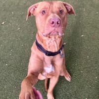 Photo of Tookie 