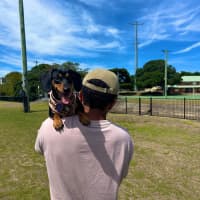 Photo of Eleanor   4 Year Old Dachshund