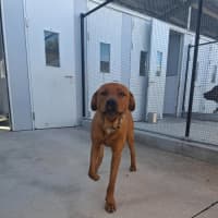 Photo of Zeus 68/2026