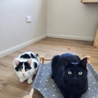 Photo of Leo & Pascal