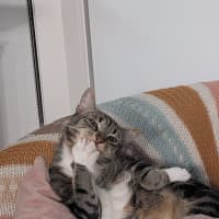Photo of Bidey