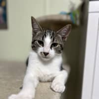 Photo of Jerry Freckle