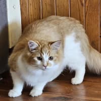 Photo of Percy