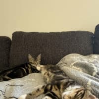 Photo of Tyrone & Miranda